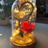Cloche en verre