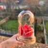 Cloche rose éternelle