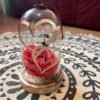 Cloche rose éternelle